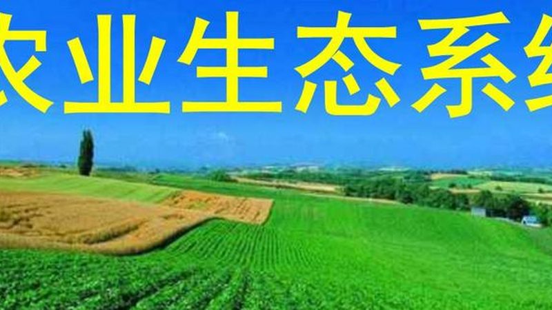 农机补贴申请条件地域差异解析