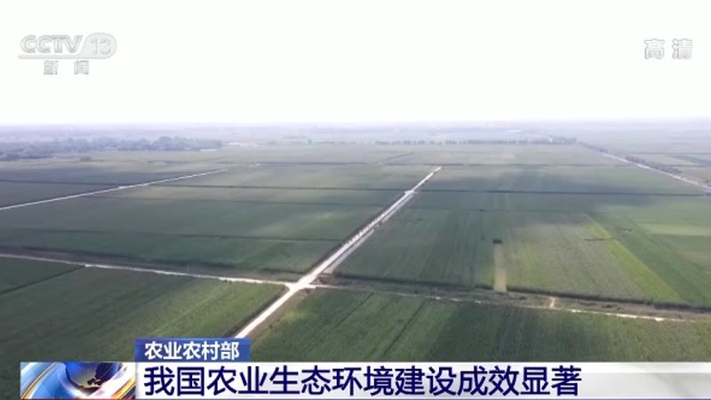 无土栽培基质：如何选择适合的“土壤”**