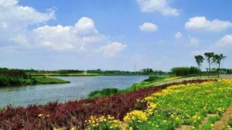 四川农业种植技术推广站：上班时间与工作内容解析**