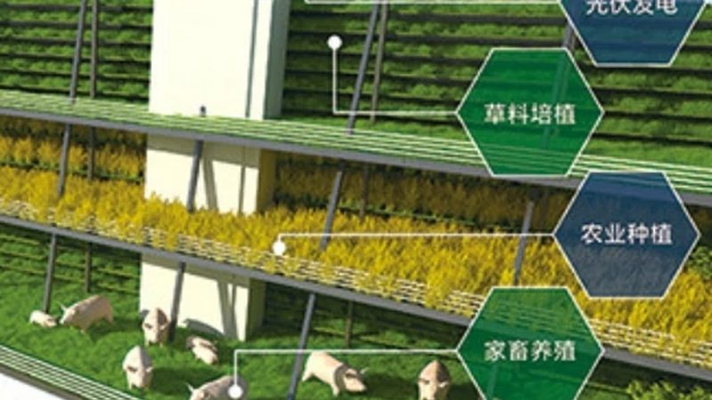 餐饮配送农产品费用：如何合理控制成本**