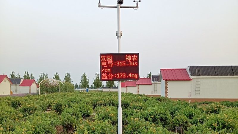 有机蔬菜价格与品质：揭秘背后的秘密