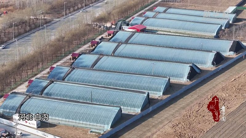 北京密云农民专业合作社注册：流程详解与注意事项