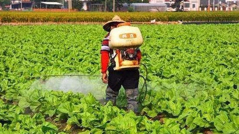 农民合作社推荐排名